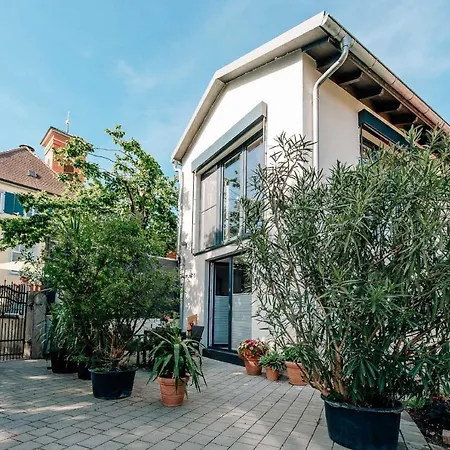Im Weinparadies Apartment Weigenheim
