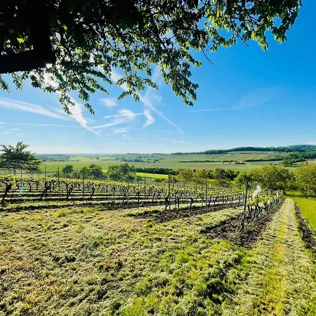 Appartamento Im Weinparadies *